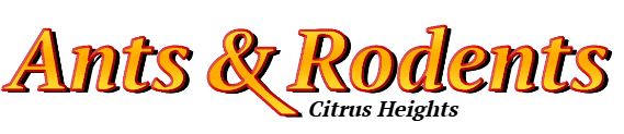 Citrus Heights Ant Exterminator & Rodent Control Company Logo